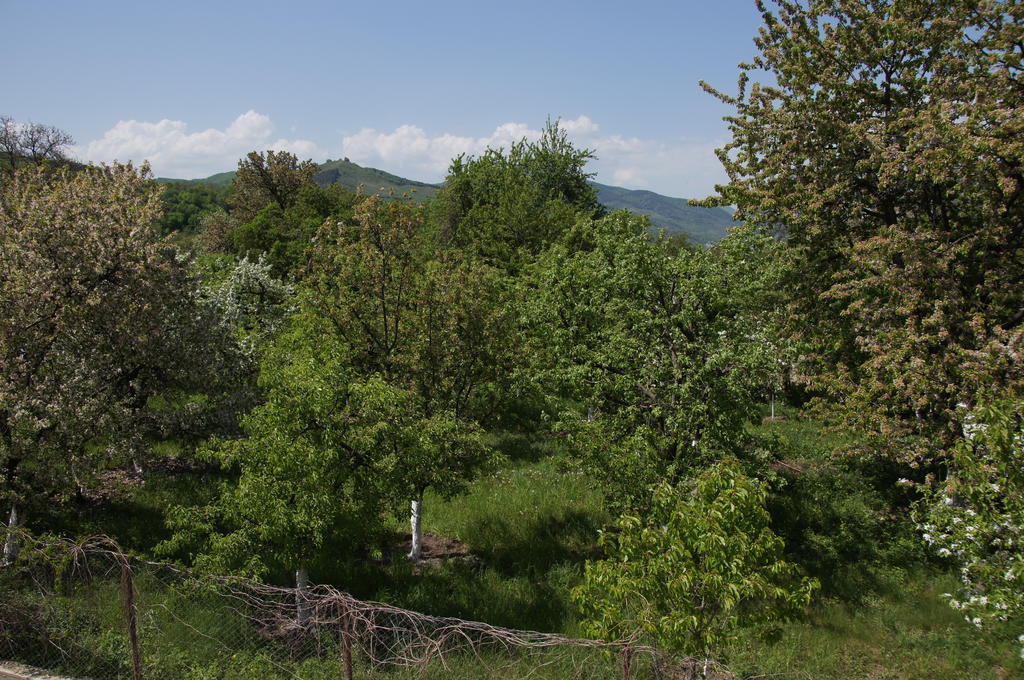 Pensiunea Valea Lupului Valea Lupului  Luaran gambar
